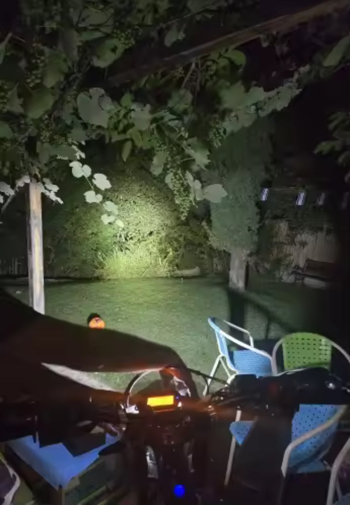 Ultra bee upgraded headlight